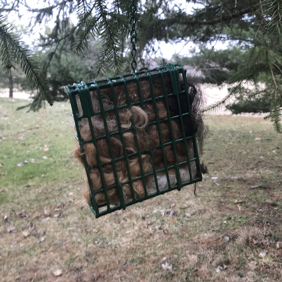 Suet cage filled with alpaca fleece